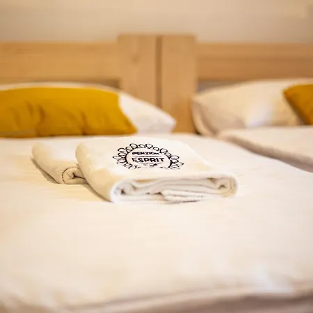 Esprit Guest house