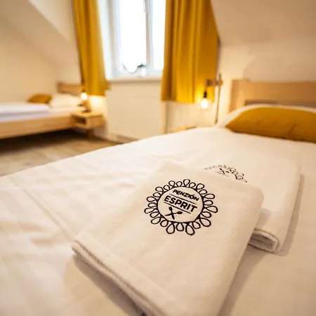 Guest house Esprit